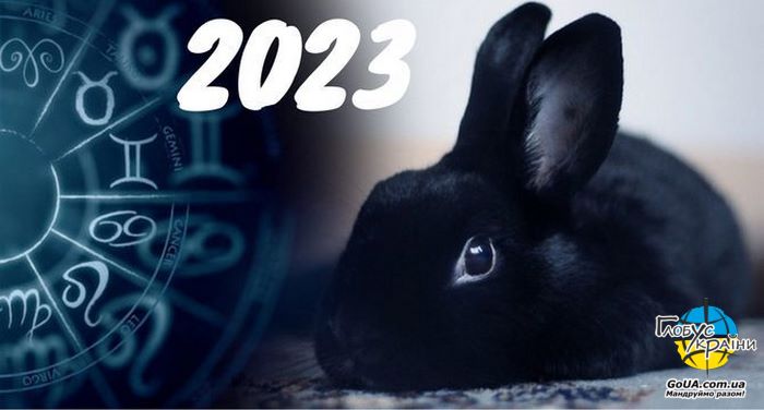 новий рік 2023 кролик